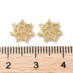 Brass Bead Caps&nbsp;KK-K346-29G