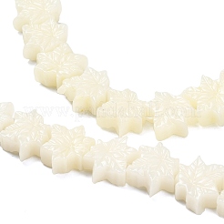 Synthetic Coral Dyed Carved Beads&nbsp;BSHE-H114-02B