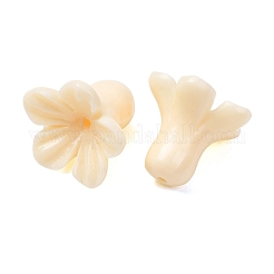 Dyed Synthetic Coral Carved Beads&nbsp;GG-CBAE64B-01A-06