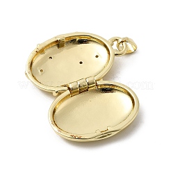 Brass Micro Pave Clear Cubic Zirconia Locket Pendants&nbsp;KK-L262-07G
