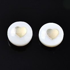 Freshwater Shell Beads&nbsp;SHEL-T018-21