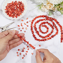 Natural Freshwater Shell Beads Strands&nbsp;BSHE-WH0006-05C