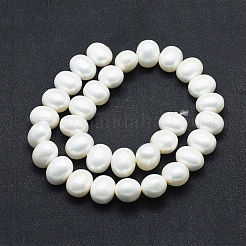 Shell Pearl Beads Strands&nbsp;BSHE-F001-02B
