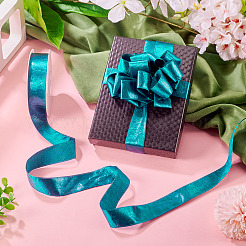 1 Roll Imitation Leather Polyester Ribbon&nbsp;LC-TA0001-02A