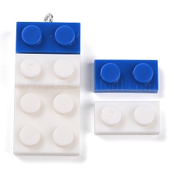 Resin Pendants&nbsp;RESI-E017-C06