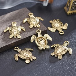 Tibetan Style Alloy Pendants&nbsp;TIBEP-A040-039G-NR