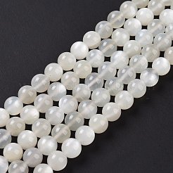 Natural White Moonstone Beads Strands&nbsp;G-F306-05AB-8mm