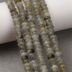 Natural Labradorite Beads Strands&nbsp;G-S366-091B