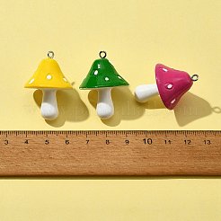 10Pcs Resin Pendants&nbsp;RESI-FS0001-62