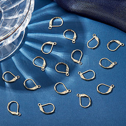 50Pcs 304 Stainless Steel Leverback Earring Findings&nbsp;STAS-BBC0001-44G