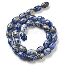 Natural Blue Spot Jasper Beads Strands&nbsp;G-B106-B29-01