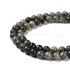 Natural Wood Lace Stone Wooden Jasper Beads Strands&nbsp;G-P497-02B-01