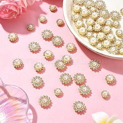 70Pcs Sew on Rhinestone&nbsp;FIND-YW0005-55