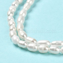 Natural Cultured Freshwater Pearl Beads Strands&nbsp;PEAR-E016-143