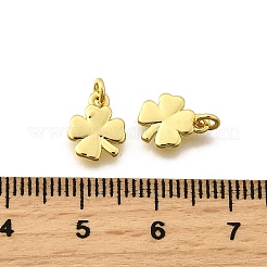 Brass Charms&nbsp;KK-I275-15G-01
