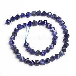 Natural Sodalite Beads Strands&nbsp;G-E560-B02