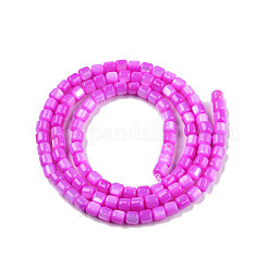 Natural Freshwater Shell Beads Strands&nbsp;SHEL-N003-33-A05