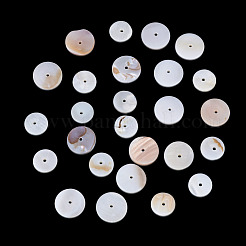 1 Strand 2 Styles Natural Freshwater Shell Beads Strands&nbsp;SHEL-TA0001-43