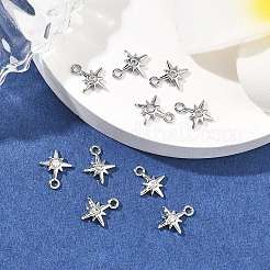 SHEGRACE Brass Clear Cubic Zirconia Charms&nbsp;XGRQ2O201-425P