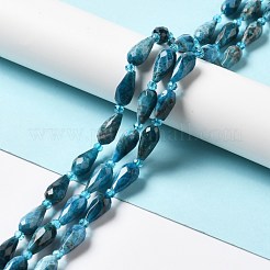 Natural Apatite Beads Strands&nbsp;G-B028-A09