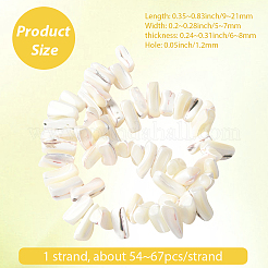 1 Strand Dyed Natural Trochus Shell Beads Strands&nbsp;SSHEL-PA0001-01B