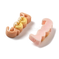 Cute Mini Cartoon Series Resin Cabochons&nbsp;CRES-I037-05E