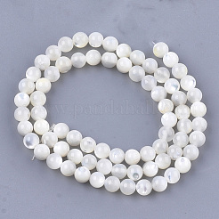 Natural White Shell Beads&nbsp;X-SHEL-T012-49C