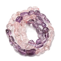 Natural Rose Quartz & Amethyst Beads Strands&nbsp;G-L610-B13-01