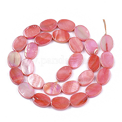 Freshwater Shell Beads Strands&nbsp;X-SSHEL-T007-19E