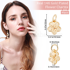 40Pcs Rack Plating Alloy Charms&nbsp;FIND-BBC0004-44