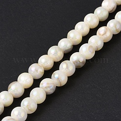 Natural Freshwater Shell Beads Strands&nbsp;SHEL-C003-10