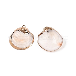 Natural Sea Shell Pendants&nbsp;SSHEL-N038-20
