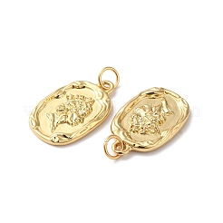Rack Plating Brass Pendants&nbsp;KK-D074-30G