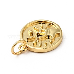 Rack Plating Brass Pendants&nbsp;KK-H431-43G
