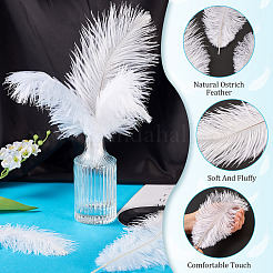 20Pcs 2 Styles Ostrich Feather Costume Accessories&nbsp;FIND-TA0005-96