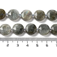Natural Labradorite Beads Strands&nbsp;G-NH0004-001