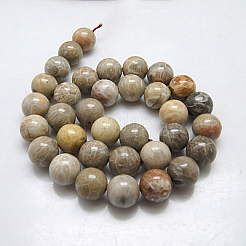 Natural Fossil Coral Round Bead Strands&nbsp;X-G-N0166-05-8mm