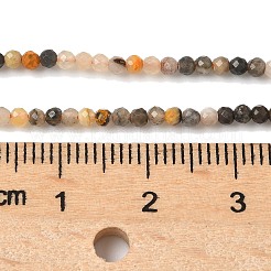Natural Bumblebee Jasper Beads Strands&nbsp;G-D306-A08-2mm