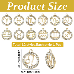 12Pcs 12 Styles Zinc Alloy Crystal Rhinestone Pendants&nbsp;FIND-YW0010-43
