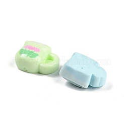 Opaque Resin Decoden Cabochons&nbsp;RESI-I338-09