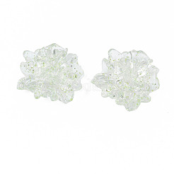 Transparent Acrylic Cabochons&nbsp;TACR-N006-16-A04