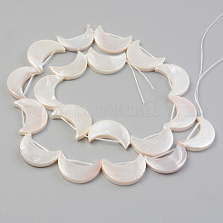 Electroplate Natural Freshwater Shell Beads Strands&nbsp;SHEL-T017-15A