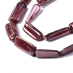 Spray Painted Natural Freshwater Shell Beads Strands&nbsp;SHEL-S276-90D