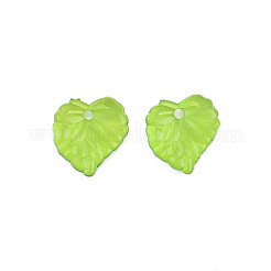 Transparent Acrylic Pendants&nbsp;TACR-T012-05