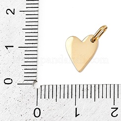 304 Stainless Steel Charms&nbsp;STAS-L291-01G-B