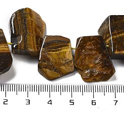 Natural Tiger Eye Beads Strands&nbsp;G-P528-K11-01