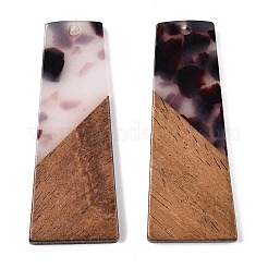 Opaque Resin & Walnut Wood Pendants&nbsp;RESI-T058-04B