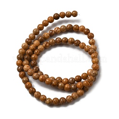 Natural Maifanite/Maifan Stone Beads Strands&nbsp;G-P451-01C-B