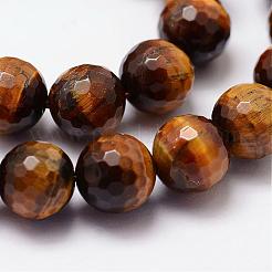 Natural Tiger Eye Beads Strands&nbsp;G-N0179-16-10mm