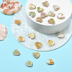20Pcs Drawbench Style Natural Freshwater Shell Beads&nbsp;SHEL-CJ0001-32